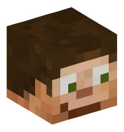 Minecraft head — People