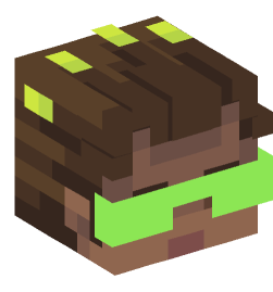 Minecraft head — People