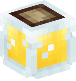 Minecraft head — Decor