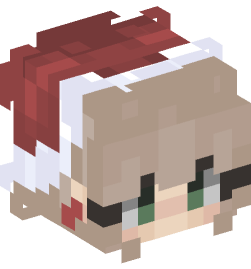 Minecraft head — People