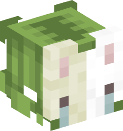 Minecraft head — People