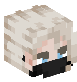 Minecraft head — People