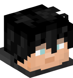 Minecraft head — People