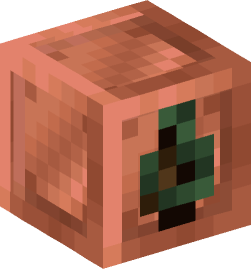 Minecraft head — Miscellaneous