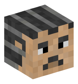 Minecraft head — People