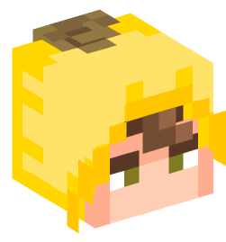 Minecraft head — People