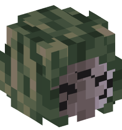 Minecraft head — People