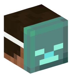 Minecraft head — People