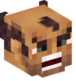 Minecraft head — People