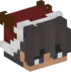 Minecraft head — People