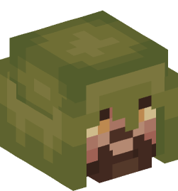 Minecraft head — People