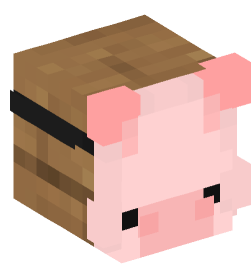 Minecraft head — Decor