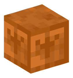 Minecraft head — Blocks