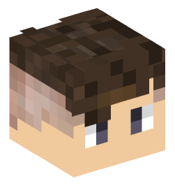 Minecraft head — People