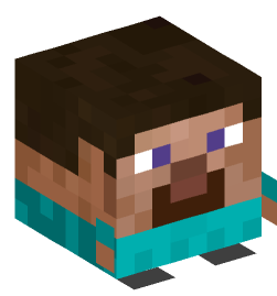 Minecraft head — Decor