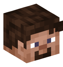 Minecraft head — People