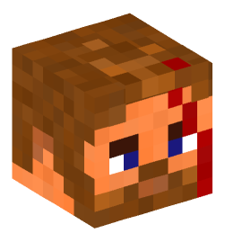 Minecraft head — People