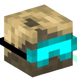 Minecraft head — Creatures