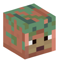 Minecraft head — Creatures