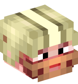 Minecraft head — People