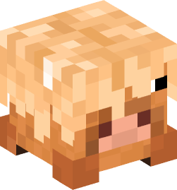 Minecraft head — Decor