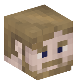 Minecraft head — People