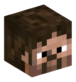 Minecraft head — People