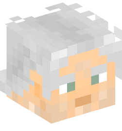 Minecraft head — People