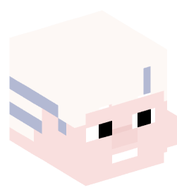 Minecraft head — People