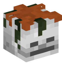 Minecraft head — Creatures