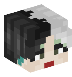 Minecraft head — People