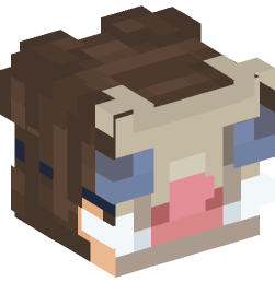 Minecraft head — People