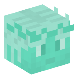 Minecraft head — Decor