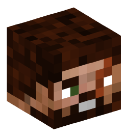 Minecraft head — People