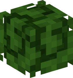 Minecraft head — Plants