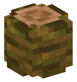 Minecraft head — Blocks