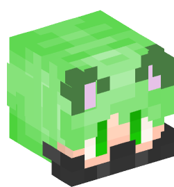 Minecraft head — People