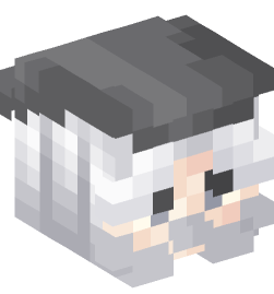 Minecraft head — People