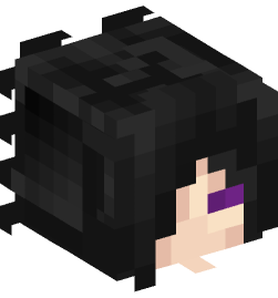 Minecraft head — People
