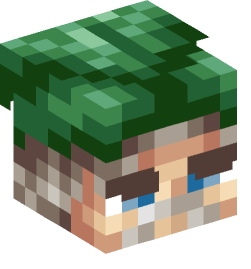 Minecraft head — People