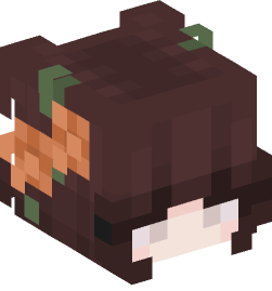 Minecraft head — People