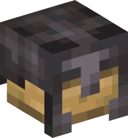 Minecraft head — Decor