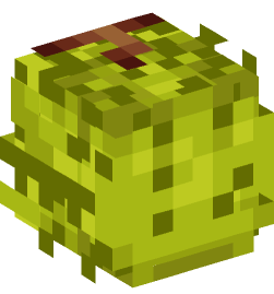 Minecraft head — Plants