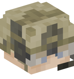 Minecraft head — People