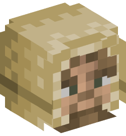 Minecraft head — People