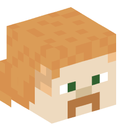 Minecraft head — People