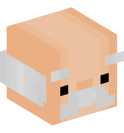 Minecraft head — People