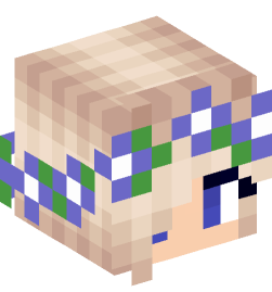 Minecraft head — People