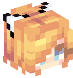 Minecraft head — People