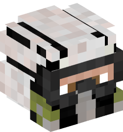 Minecraft head — People